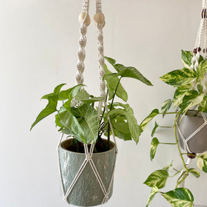 String of Pearls Plant Hanger with Wooden Beads