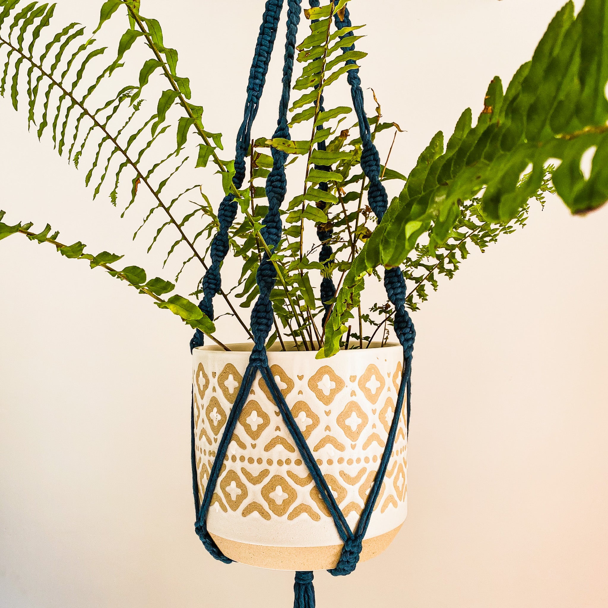 String of Hearts Plant Hanger