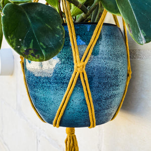 Philodendron Plant Hanger