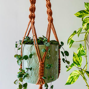 String of Hearts Plant Hanger